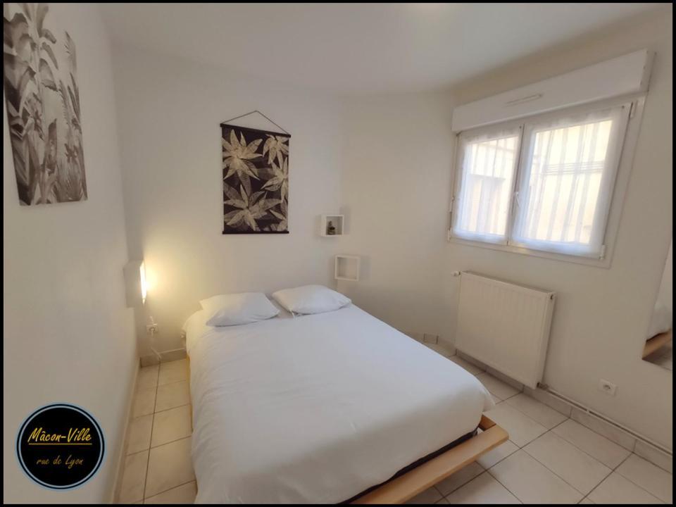 Macon Centre Ville-Gare-Wifi-Cosy-Parking Public A Proximite Экстерьер фото